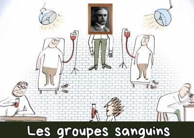 Karl Landsteiner et les groupes sanguins