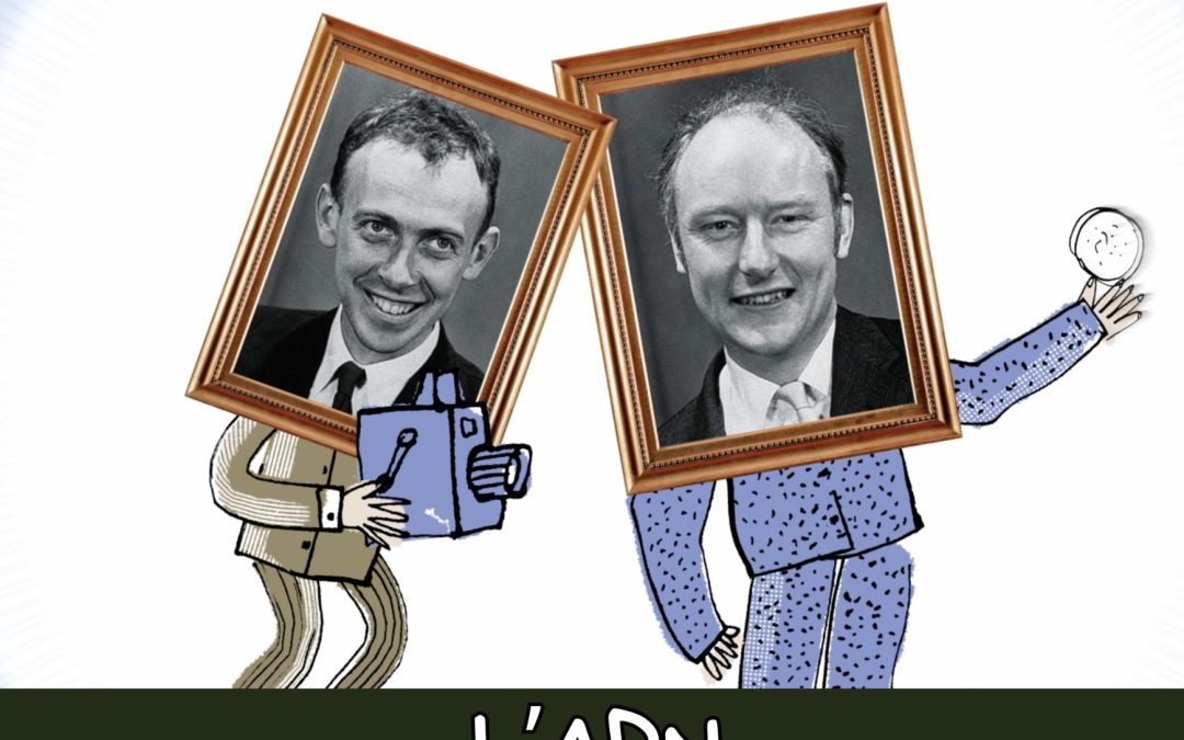 L’ADN de Francis Crick et James Watson