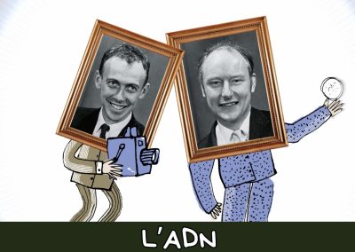 L’ADN de Francis Crick et James Watson